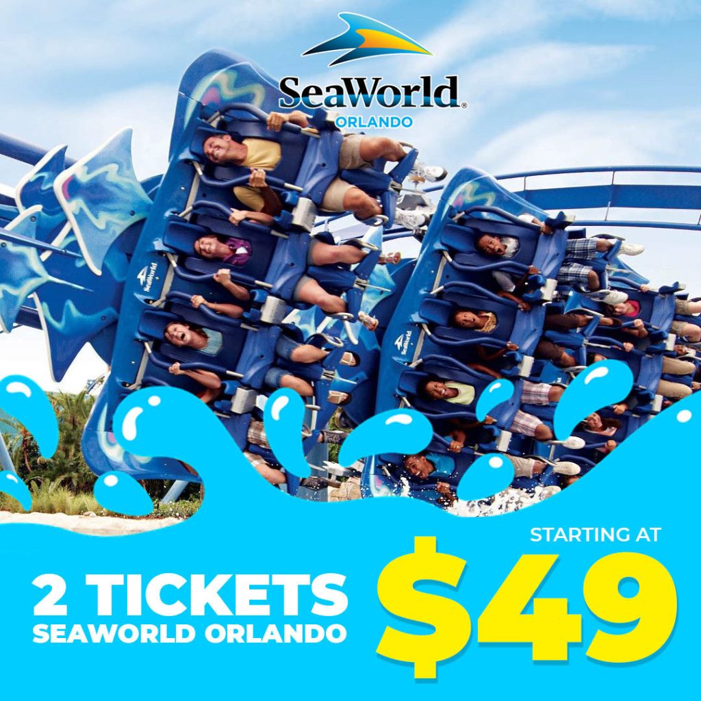 Top 5 SeaWorld Orlando Tips To Have The Best Time Orlando Guide